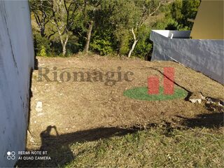 -210877352_ID7ab97501-0000-0500-0000-0000125240ee.jpg