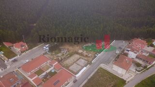 -210905814_IDe96d7601-0000-0500-0000-00001271caad.jpg