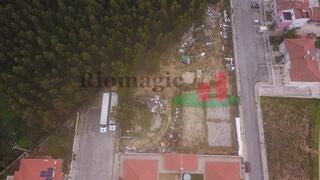 -210920437_IDcc6d7601-0000-0500-0000-00001271c89f.jpg