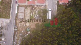 -210920437_IDcc6d7601-0000-0500-0000-00001271c8a1.jpg