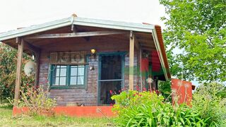 -211225988_ID7fc57c01-0000-0500-0000-0000131d8dae.jpg