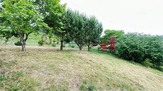 -211225988_ID7fc57c01-0000-0500-0000-0000131d8dc6.jpg