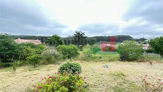 -211225988_ID7fc57c01-0000-0500-0000-0000131d8de7.jpg