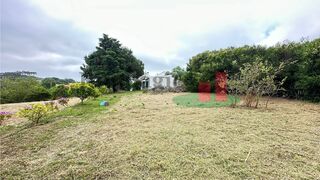 -211225988_ID7fc57c01-0000-0500-0000-0000131d8dfa.jpg