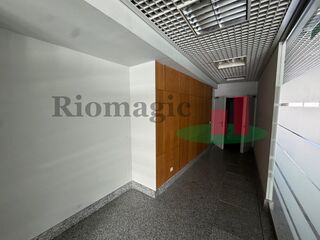-211258708_ID1d5f7d01-0000-0500-0000-00001338bb20.jpg
