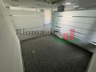 -211258708_ID1d5f7d01-0000-0500-0000-00001338bb40.jpg