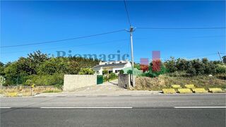 -211367663_IDb88c7f01-0000-0500-0000-0000136e4c85.jpg