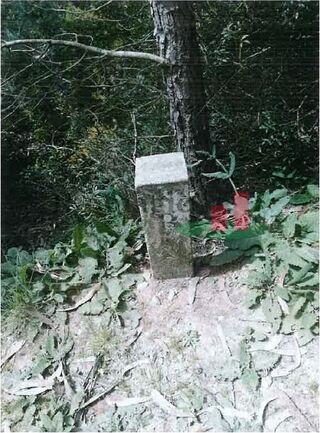 -211409961_ID0e6f8001-0000-0500-0000-0000138a52c5.jpg