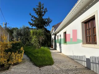 -211529714_IDb6d78101-0000-0500-0000-000013e3fb00.jpg