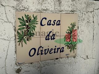 -211529714_IDb6d78101-0000-0500-0000-000013e3fb09.jpg
