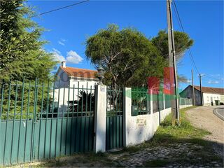 -211529714_IDb6d78101-0000-0500-0000-000013e3fb0a.jpg