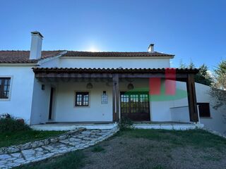 -211531644_ID8dd68201-0000-0500-0000-000013e3ffcb.jpg