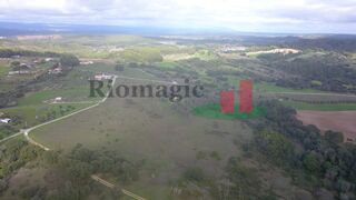 -211572750_ID049c8301-0000-0500-0000-000014127ee9.jpg