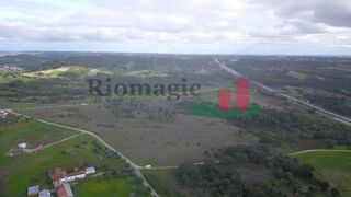 -211572750_ID049c8301-0000-0500-0000-000014127eeb.jpg