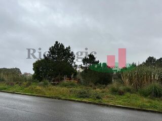 -211579658_IDc1e68301-0000-0500-0000-0000142751d9.jpg
