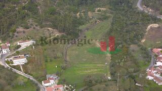 -211589995_IDf7db8301-0000-0500-0000-000014128d07.jpg