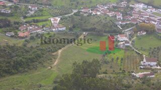 -211589995_IDf7db8301-0000-0500-0000-000014128d08.jpg