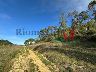 -211662978_ID937d8501-0000-0500-0000-0000141eb1a3.jpg