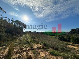 -211662978_ID937d8501-0000-0500-0000-0000141eb1a8.jpg