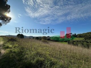 -211662978_ID937d8501-0000-0500-0000-0000141eb1ab.jpg