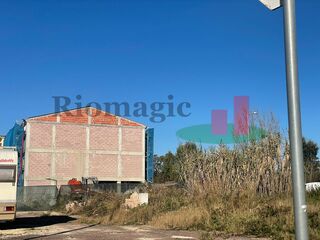 -211691798_ID6fd68501-0000-0500-0000-000014324ab2.jpg