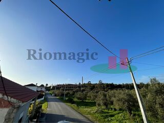 -211715460_IDb9ba8601-0000-0500-0000-00001440f8a0.jpg