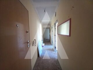 -212153304_ID5ba48d01-0000-0500-0000-000014963d23.jpg