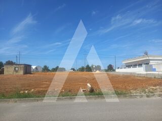 -213195186_IDaba89d01-0000-0500-0000-000015c12cb0.jpg