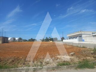 -213195186_IDaba89d01-0000-0500-0000-000015c12cb3.jpg