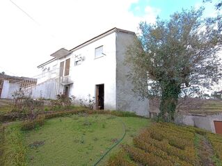 -706187124_be54ffc2sxfxyl0d.jpg