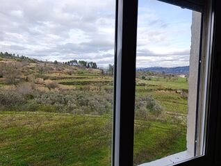 -706187124_g2491cebvj799k75.jpg