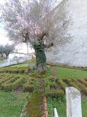 -706187124_qey7ghqp5yrzhrlm.jpg