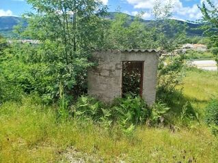 -706187466_0xyncmc3y86hrn8i.jpg
