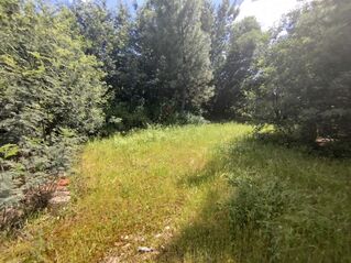 -706187466_1i5k72b2kmplaea0.jpg