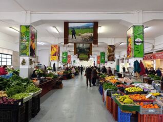 -706187466_jlixwa7565vhhic5.jpg
