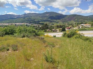 -706187466_lbeoia36qk2oz7ws.jpg