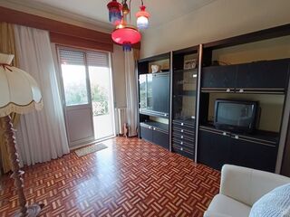 -706190165_isfv7y4y037bnhuu.jpg