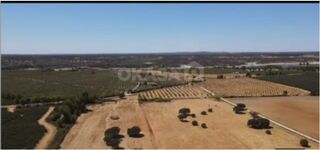 -213369808_IDf594a101-0000-0500-0000-000016088825.jpg
