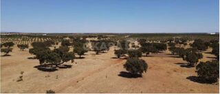 -213369808_IDf594a101-0000-0500-0000-000016088826.jpg