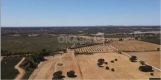 -213369808_IDf594a101-0000-0500-0000-000016088828.jpg