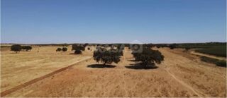 -213369808_IDf594a101-0000-0500-0000-00001608882b.jpg
