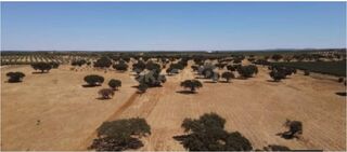 -213369808_IDf594a101-0000-0500-0000-00001608882c.jpg