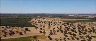 -213369808_IDf594a101-0000-0500-0000-00001608882e.jpg