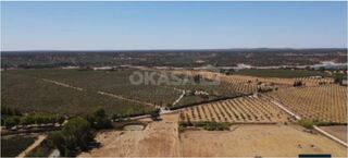-213369808_IDf594a101-0000-0500-0000-000016088830.jpg