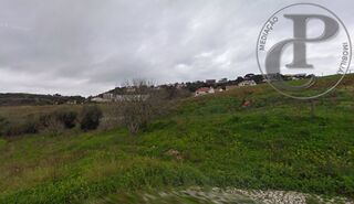 -706126729_9mejnj99hbzz7aj0.jpg