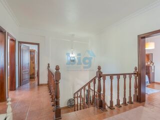 -213141710_ID43bf9c01-0000-0500-0000-000015ac7b58.jpg