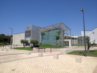 -213387492_IDb8dea101-0000-0500-0000-0000161167b3.jpg