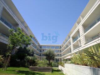 -213387492_IDb8dea101-0000-0500-0000-0000161167d9.jpg