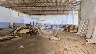 -706145184_3fo05am5wb7p5bpx.jpg