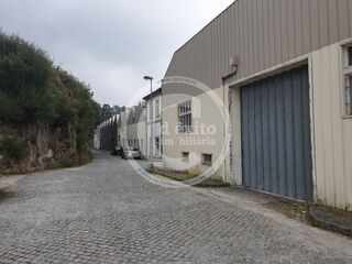 -706145184_fe9tk2rnd0jubsre.jpg